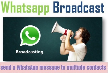 How to Use broadcast Whatsapp to send Message to Multiple Contacts at Once